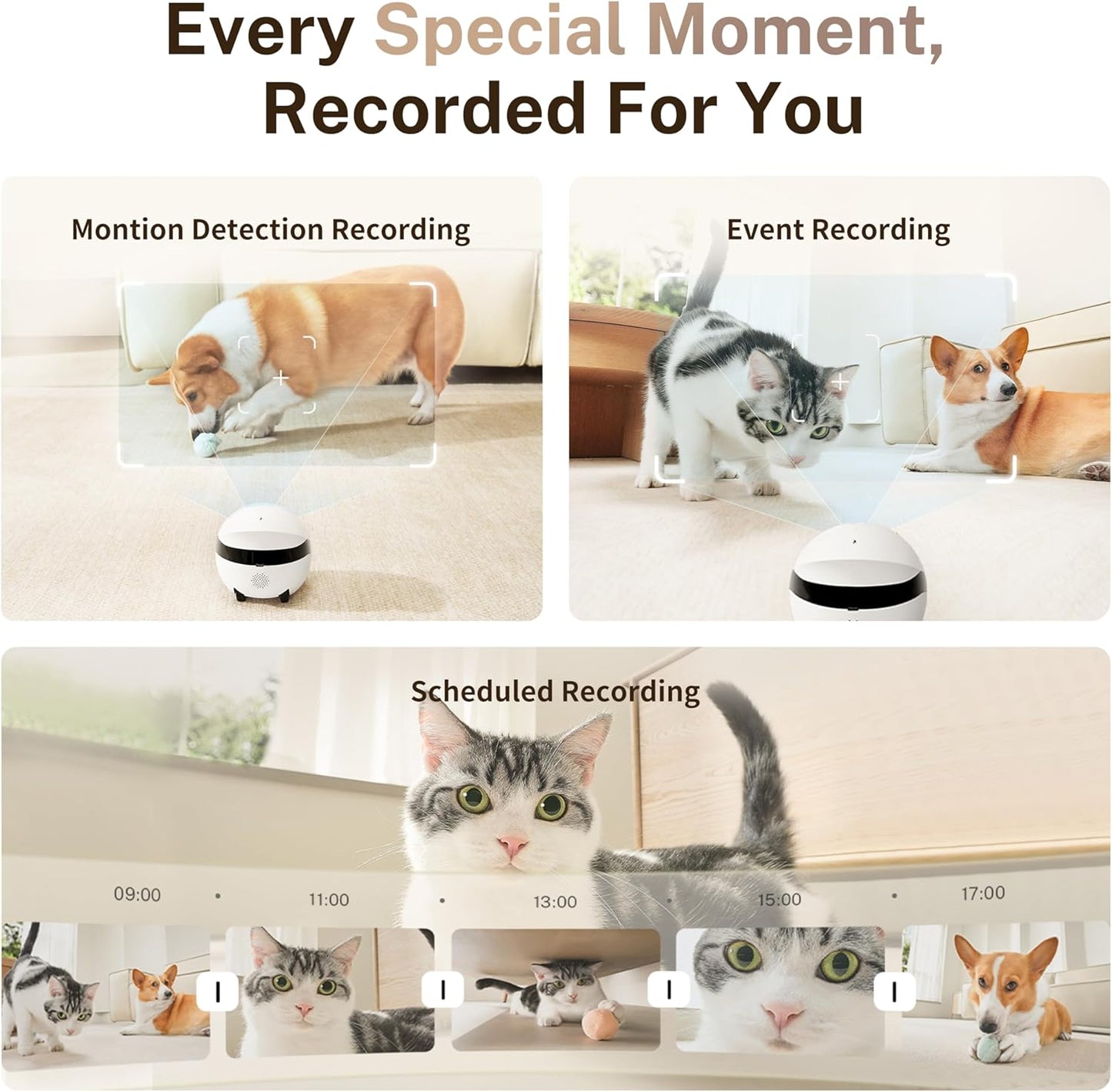Smart Robot Camera – Enabot ROLA Mini 2K with Call, Talk & Motion Alerts