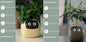 Smart Planter Endless Fun. Over 49 Rich Expressions.