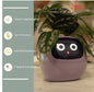 Smart Planter Endless Fun. Over 49 Rich Expressions.