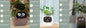 Smart Planter Endless Fun. Over 49 Rich Expressions.
