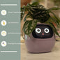 Smart Planter Endless Fun. Over 49 Rich Expressions.