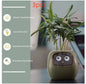 Smart Planter Endless Fun. Over 49 Rich Expressions.