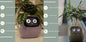 Smart Planter Endless Fun. Over 49 Rich Expressions.