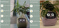 Smart Planter Endless Fun. Over 49 Rich Expressions.
