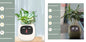 Smart Planter Endless Fun. Over 49 Rich Expressions.