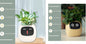 Smart Planter Endless Fun. Over 49 Rich Expressions.