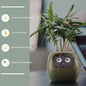 Smart Planter Endless Fun. Over 49 Rich Expressions.