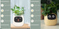 Smart Planter Endless Fun. Over 49 Rich Expressions.