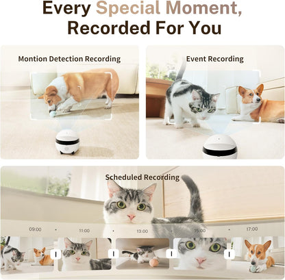Smart Robot Camera – Enabot ROLA Mini 2K with Call, Talk & Motion Alerts