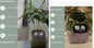 Smart Planter Endless Fun. Over 49 Rich Expressions.