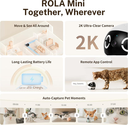 Smart Robot Camera – Enabot ROLA Mini 2K with Call, Talk & Motion Alerts
