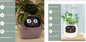 Smart Planter Endless Fun. Over 49 Rich Expressions.