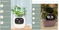 Smart Planter Endless Fun. Over 49 Rich Expressions.