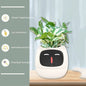 Smart Planter Endless Fun. Over 49 Rich Expressions.