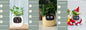 Smart Planter Endless Fun. Over 49 Rich Expressions.