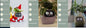 Smart Planter Endless Fun. Over 49 Rich Expressions.
