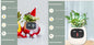 Smart Planter Endless Fun. Over 49 Rich Expressions.