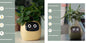 Smart Planter Endless Fun. Over 49 Rich Expressions.