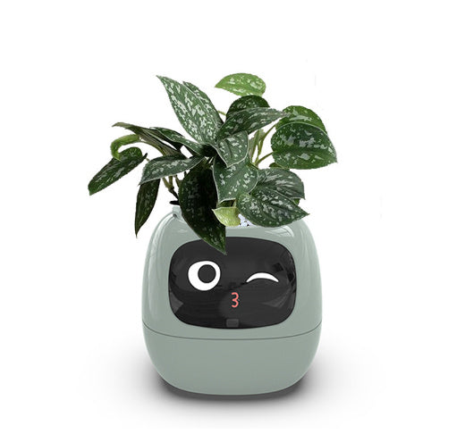 Smart Planter Endless Fun. Over 49 Rich Expressions.